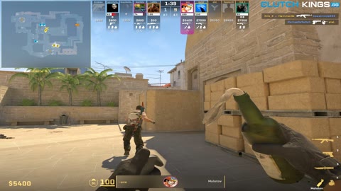 Clip #100028