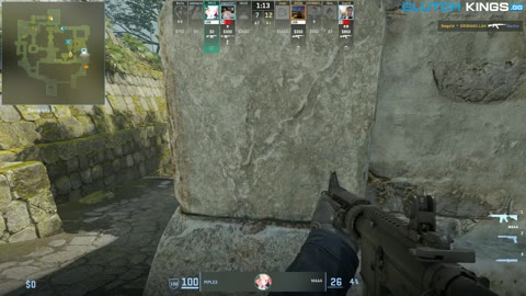 Clip #100165