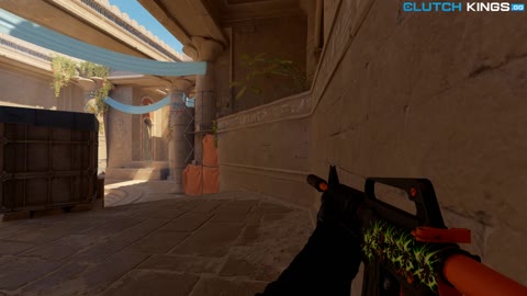 Clip #100310