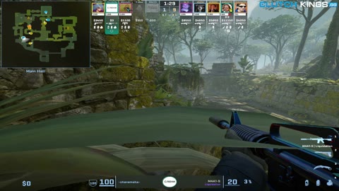 Clip #100611