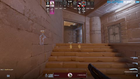 Clip #100831