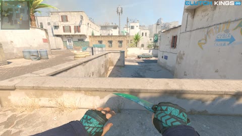 Clip #101221