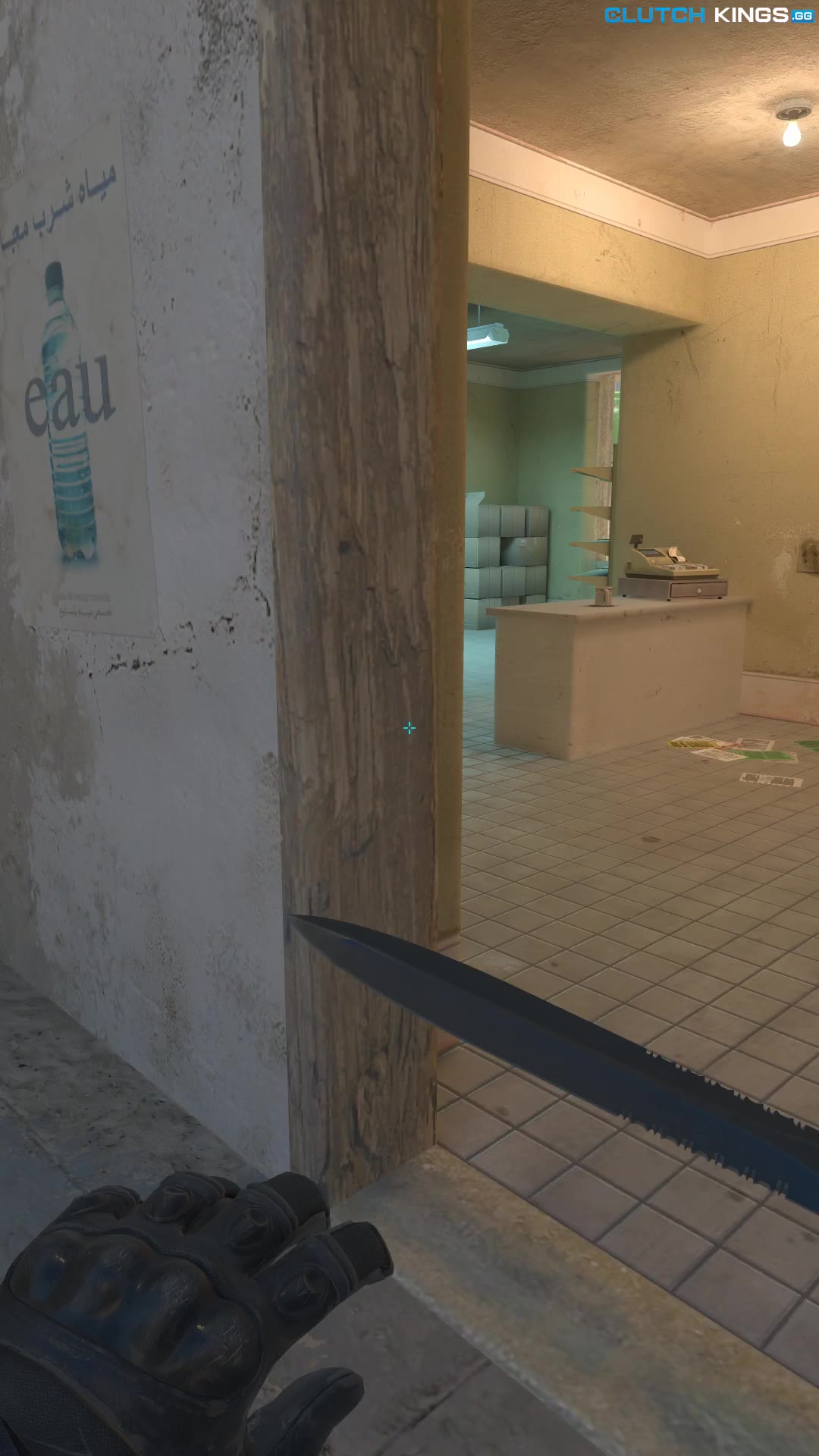 Clip #101293