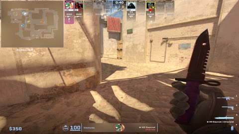 Clip #101917