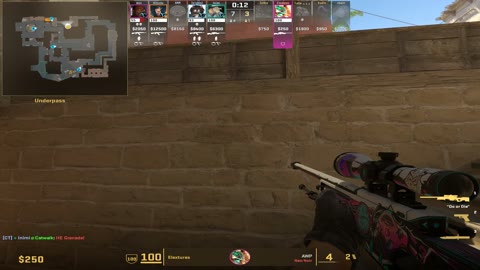 Clip #102252