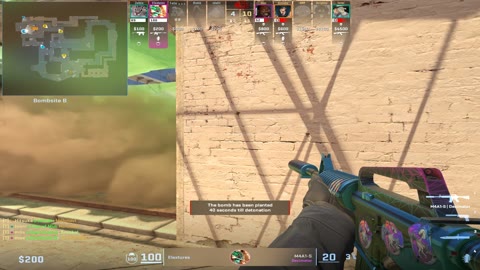 Clip #102254