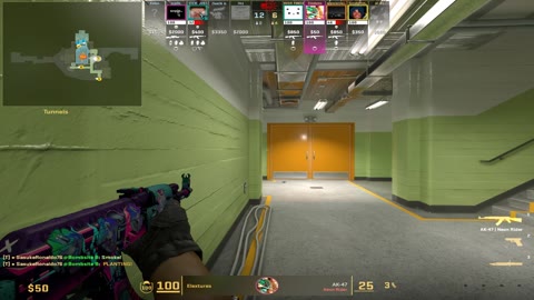 Clip #102268