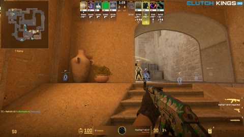 Clip #102856