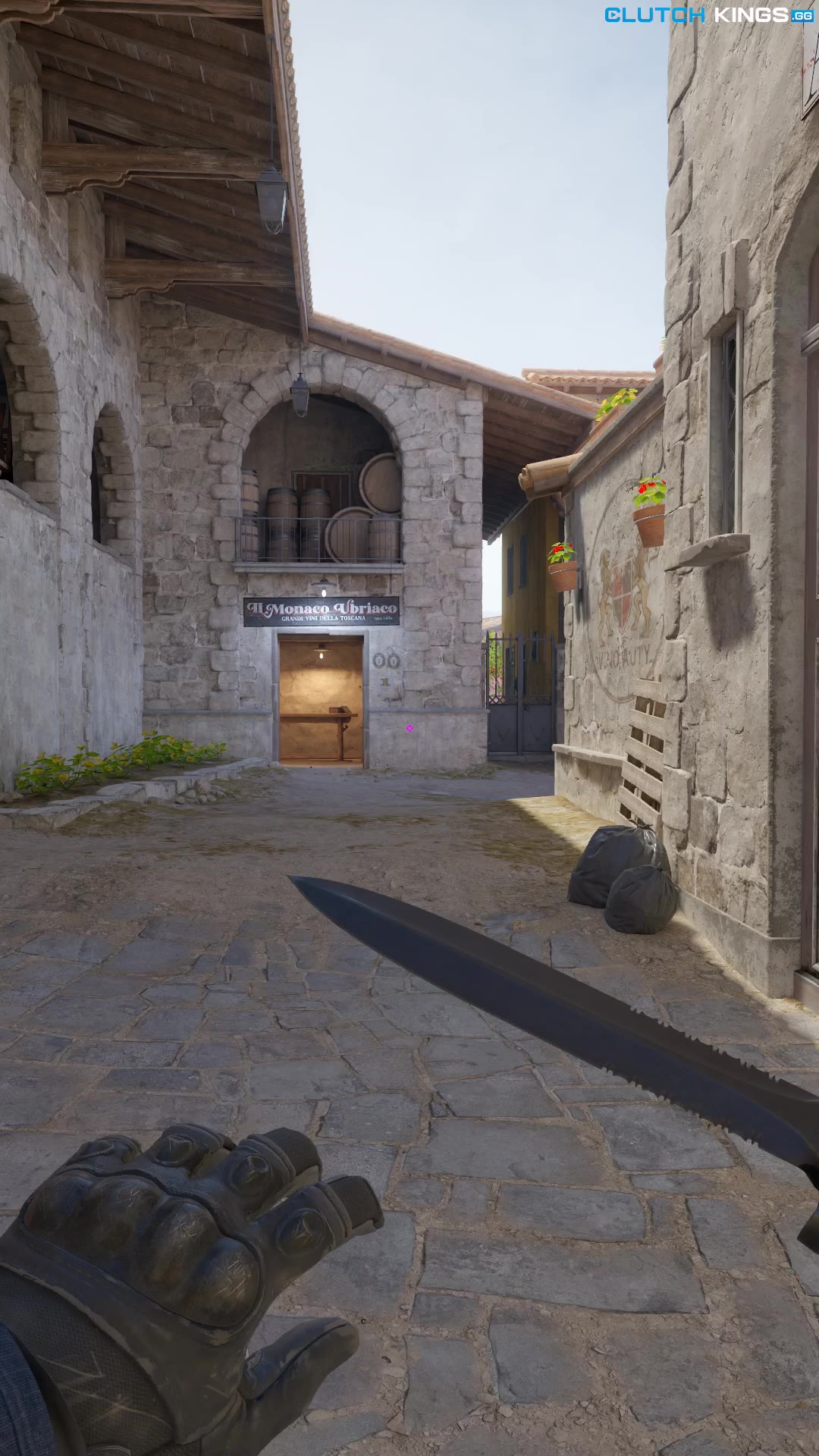 Clip #105123