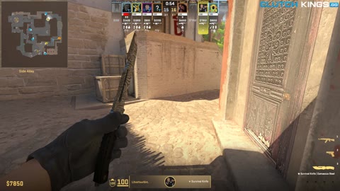 Clip #108868