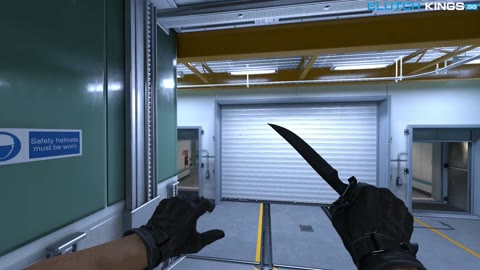 Clip #109101