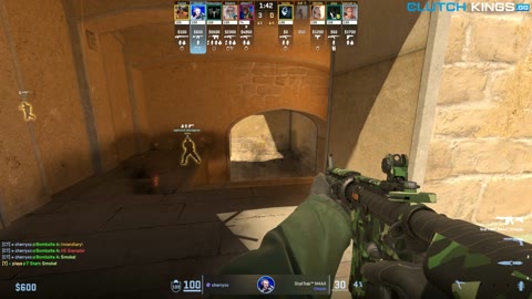 Clip #110135