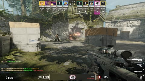 Clip #110351