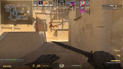 Clip #110479