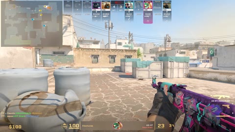 Clip #110484