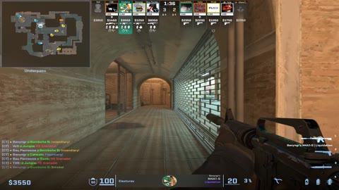 Clip #110497
