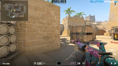 Clip #110734