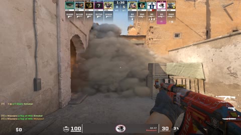 Clip #110828