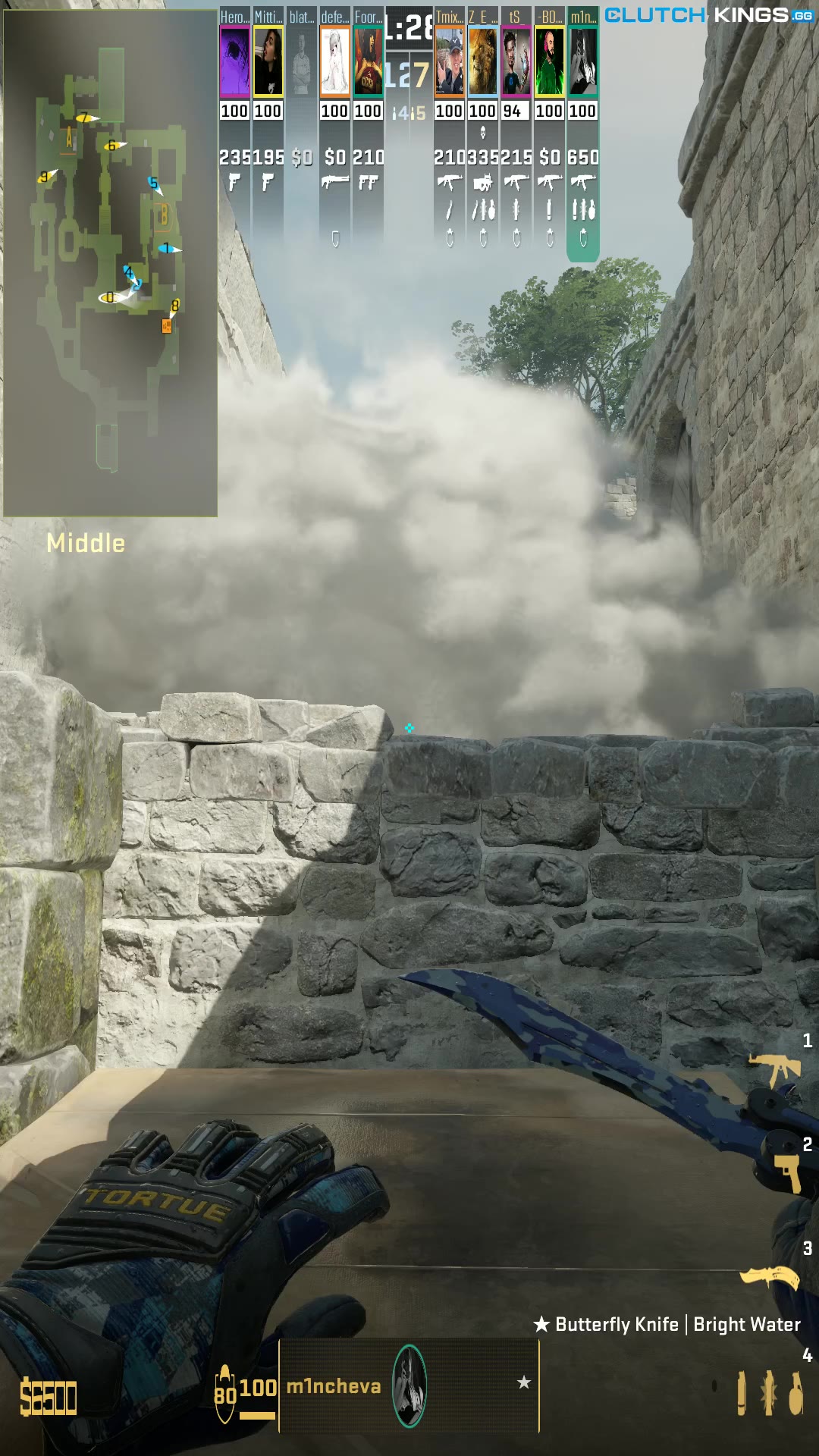 Clip #115137