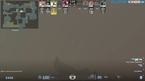 Clip #115331
