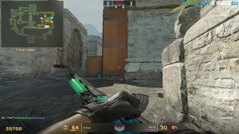 Clip #115685