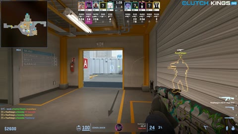 Clip #117313
