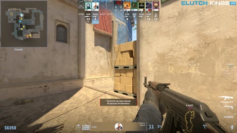 Clip #117910