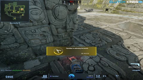 Clip #118121