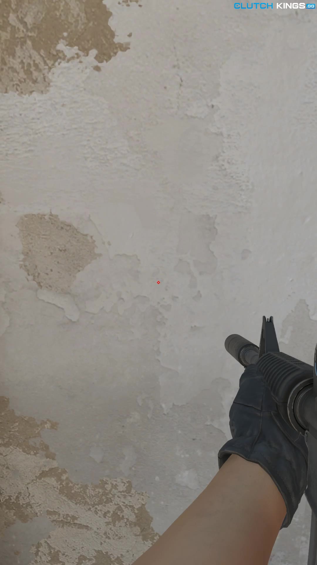 Clip #118243