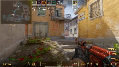 Clip #12062