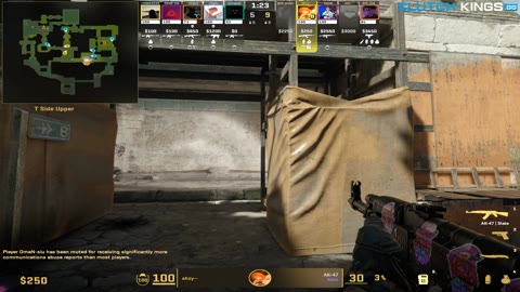 Clip #122145