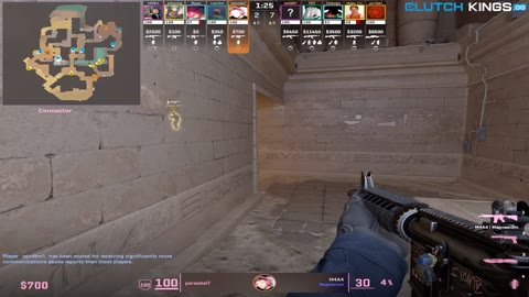Clip #122523