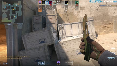 Clip #124128