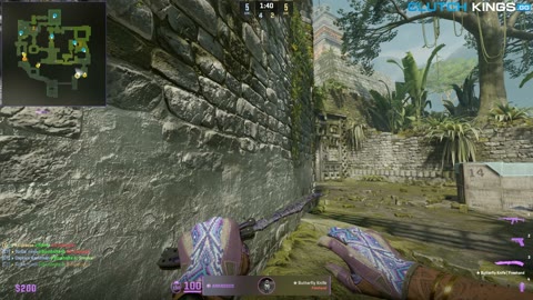 Clip #129134