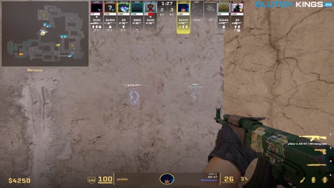 Clip #129516