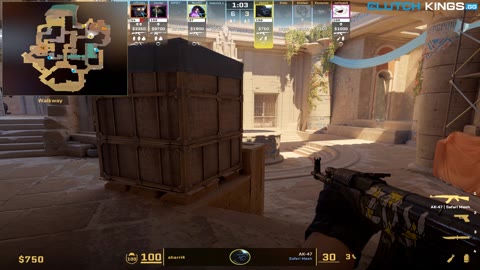 Clip #129667