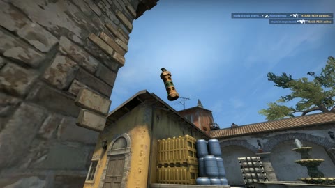 Clip #130543