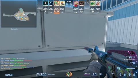 Clip #131485
