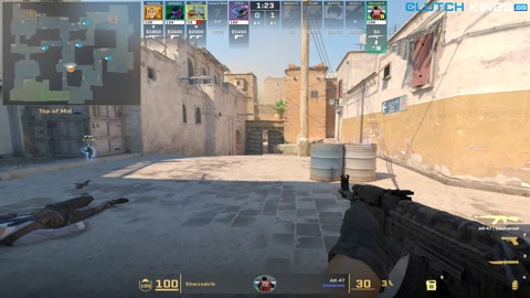 Clip #131739