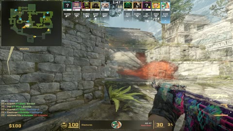 Clip #131929