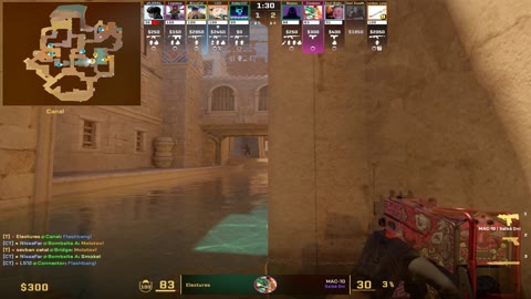 Clip #132365