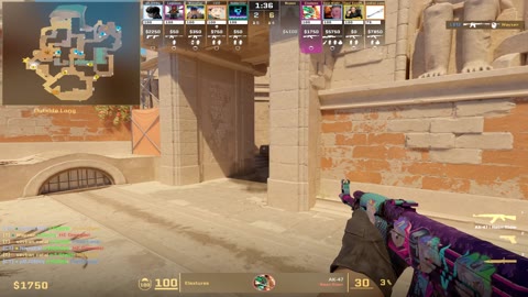 Clip #132369