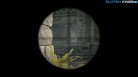 Clip #132874