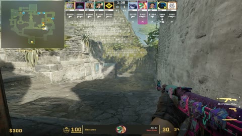 Clip #134752