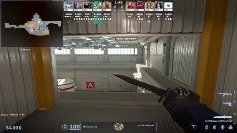Clip #135146