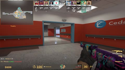 Clip #135148