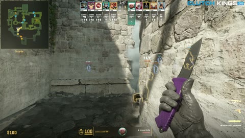 Clip #135342
