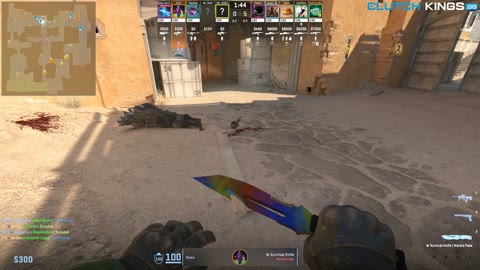 Clip #135876