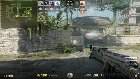 Clip #137285