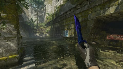 Clip #137658